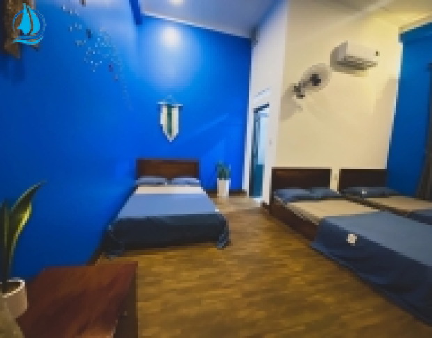 Tour Du lịch Cù Lao Xanh 2 Ngày -1 đêm