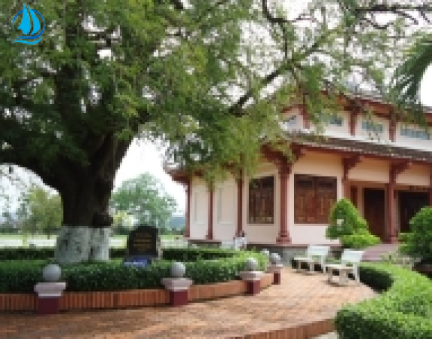 TOUR QUY NHƠN- TÂY SƠN-HẦM HÔ 1 NGÀY