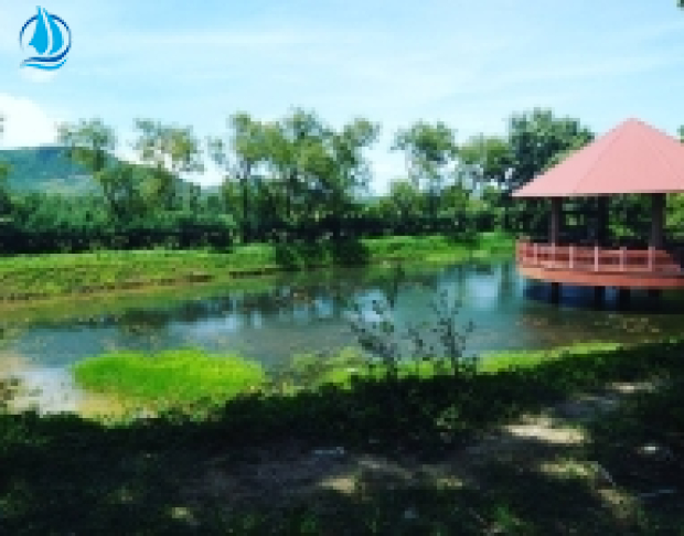 TOUR QUY NHƠN- TÂY SƠN-HẦM HÔ 1 NGÀY
