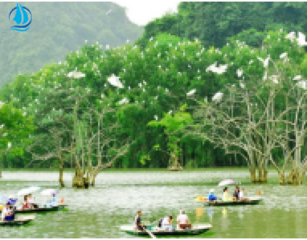 TOUR DU LỊCH CỒN CHIM 1 NGÀY
