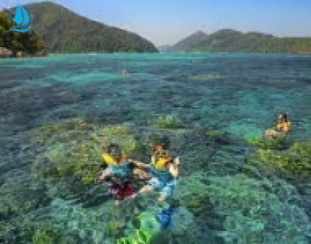 DU LỊCH QUY NHƠN - KÌ CO- EO GIÓ- HÒN KHÔ 1NGÀY