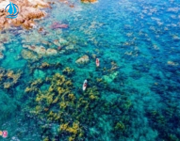 KHÁM PHÁ DU LỊCH QUY NHƠN - PHÚ YÊN CHỈ TỪ #495K